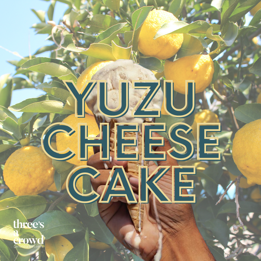 Yuzu Cheesecake